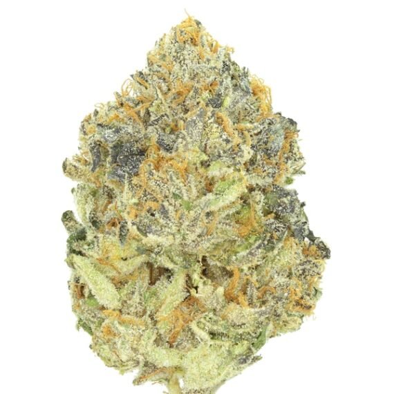 Buy Gelato 33 Pounds Online